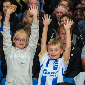 Brighton & Hove Albion vs Norwich City: Kickstarting the 2013-14 Season - Pre-season Clash Brighton & Hove Albion vs Norwich City: Kickstarting the 2013-14 Season - Pre-season Clash