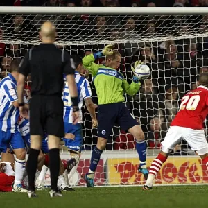 Brighton & Hove Albion vs. Nottingham Forest - 03-12-2011: A Look Back at the 2011-12 Season Home Game Brighton & Hove Albion vs. Nottingham Forest - 03-12-2011: A Look Back at the 2011-12 Season Home Game