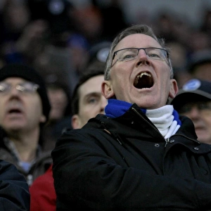 Brighton & Hove Albion vs. Nottingham Forest: A Home Battle from the 2014-15 Season (07FEB15)