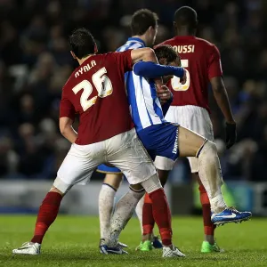 Brighton & Hove Albion vs. Nottingham Forest (15-12-2012) - A Glimpse into the 2012-13 Home Season Brighton & Hove Albion vs. Nottingham Forest (15-12-2012) - A Glimpse into the 2012-13 Home Season