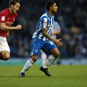 Brighton & Hove Albion vs. Nottingham Forest (15-12-2012) - A Glimpse into the 2012-13 Home Season Brighton & Hove Albion vs. Nottingham Forest (15-12-2012) - A Glimpse into the 2012-13 Home Season
