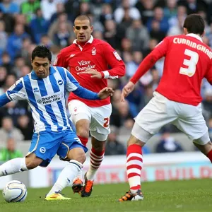 Brighton & Hove Albion vs. Nottingham Forest (2011-12): A Glimpse into the Past - Home Game Brighton & Hove Albion vs. Nottingham Forest (2011-12): A Glimpse into the Past - Home Game