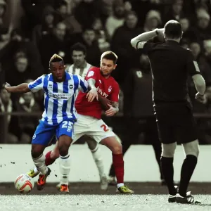 Brighton & Hove Albion vs. Nottingham Forest: A 2012-13 Season Flashback - Away Game Brighton & Hove Albion vs. Nottingham Forest: A 2012-13 Season Flashback - Away Game