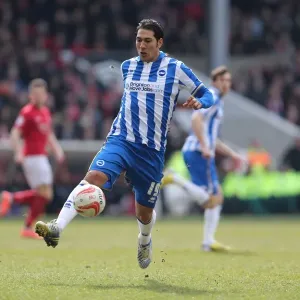 Brighton & Hove Albion vs. Nottingham Forest: A 2012-13 Season Flashback - March 30th Game Brighton & Hove Albion vs. Nottingham Forest: A 2012-13 Season Flashback - March 30th Game