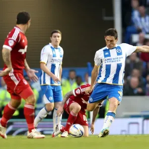 Brighton & Hove Albion vs. Nottingham Forest (2013-14 Home Game) Brighton & Hove Albion vs. Nottingham Forest (2013-14 Home Game)