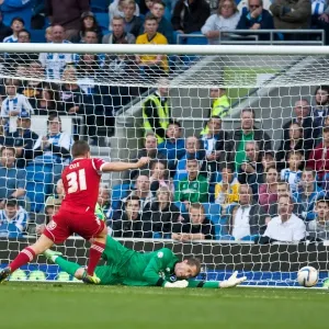 Brighton & Hove Albion vs. Nottingham Forest (2013-14 Home Game) Brighton & Hove Albion vs. Nottingham Forest (2013-14 Home Game)