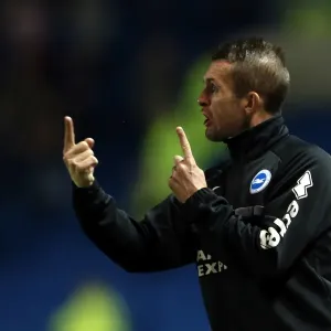 Brighton & Hove Albion vs. Nottingham Forest (2013-14 Home Game) Brighton & Hove Albion vs. Nottingham Forest (2013-14 Home Game)