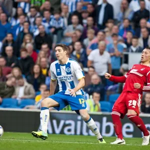 Brighton & Hove Albion vs. Nottingham Forest (2013-14 Home Game) Brighton & Hove Albion vs. Nottingham Forest (2013-14 Home Game)