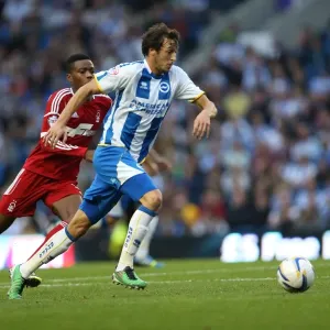 Brighton & Hove Albion vs. Nottingham Forest (2013-14 Home Game) Brighton & Hove Albion vs. Nottingham Forest (2013-14 Home Game)