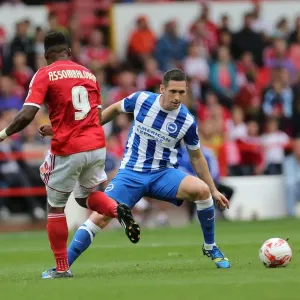 Brighton & Hove Albion vs. Nottingham Forest: 27 September 2014 (Away Game) Brighton & Hove Albion vs. Nottingham Forest: 27 September 2014 (Away Game)