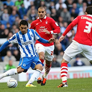 Brighton & Hove Albion vs. Nottingham Forest (2011-12): A Glimpse into the Past - Home Game
