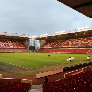 Brighton and Hove Albion vs. Nottingham Forest: EFL Sky Bet Championship Showdown at City Ground (04MAR17)