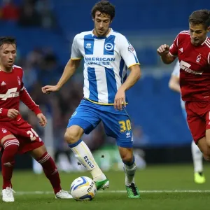 Brighton & Hove Albion vs. Nottingham Forest: Home Battle (2013-14 Season) Brighton & Hove Albion vs. Nottingham Forest: Home Battle (2013-14 Season)