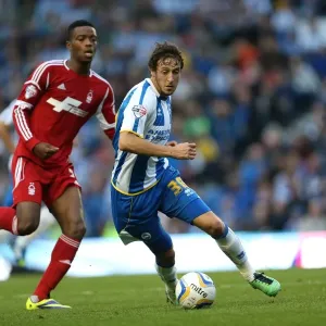 Brighton & Hove Albion vs. Nottingham Forest: Home Battle (2013-14 Season) Brighton & Hove Albion vs. Nottingham Forest: Home Battle (2013-14 Season)