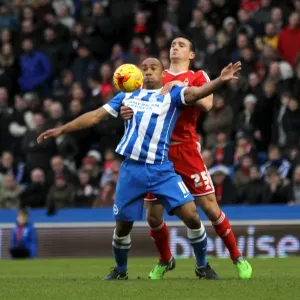 Brighton & Hove Albion vs. Nottingham Forest: A Home Battle from the 2014-15 Season (07FEB15) Brighton & Hove Albion vs. Nottingham Forest: A Home Battle from the 2014-15 Season (07FEB15)