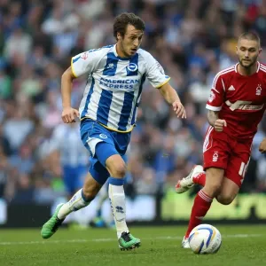 Brighton & Hove Albion vs. Nottingham Forest: Home Game (October 5, 2013) Brighton & Hove Albion vs. Nottingham Forest: Home Game (October 5, 2013)