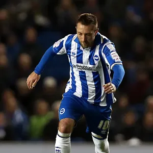 Brighton & Hove Albion vs. Peterborough United (06-11-2012): A Glimpse into the 2012-13 Home Season Brighton & Hove Albion vs. Peterborough United (06-11-2012): A Glimpse into the 2012-13 Home Season