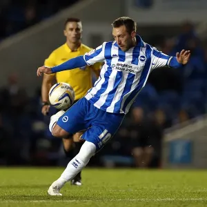 Brighton & Hove Albion vs. Peterborough United (2012-13): A Peek into the Thrilling Home Match Brighton & Hove Albion vs. Peterborough United (2012-13): A Peek into the Thrilling Home Match