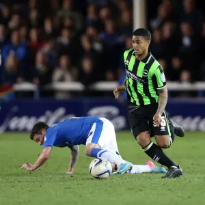 Brighton & Hove Albion vs. Peterborough United: A 2012-13 Season Away Game Preview (April 16) Brighton & Hove Albion vs. Peterborough United: A 2012-13 Season Away Game Preview (April 16)