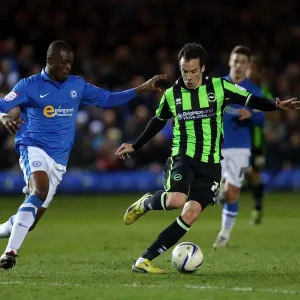 Brighton & Hove Albion vs. Peterborough United: A 2012-13 Season Battle (Away) Brighton & Hove Albion vs. Peterborough United: A 2012-13 Season Battle (Away)