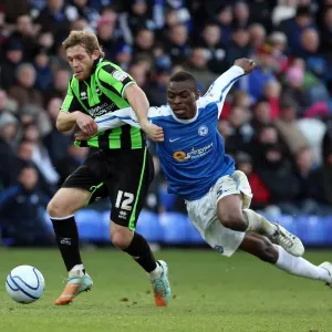 Brighton & Hove Albion vs. Peterborough United: Away Game - January 2012 Brighton & Hove Albion vs. Peterborough United: Away Game - January 2012