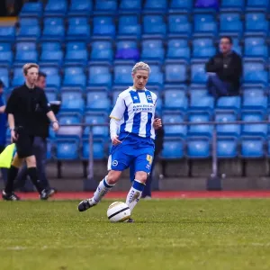 Brighton & Hove Albion vs. Portsmouth: A Battle in the 2013-14 Women's Football Season Brighton & Hove Albion vs. Portsmouth: A Battle in the 2013-14 Women's Football Season
