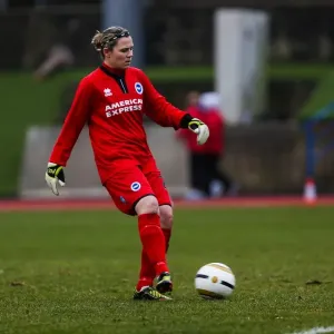 Brighton & Hove Albion vs. Portsmouth: A Clash in the 2013-14 Women's Football Season Brighton & Hove Albion vs. Portsmouth: A Clash in the 2013-14 Women's Football Season