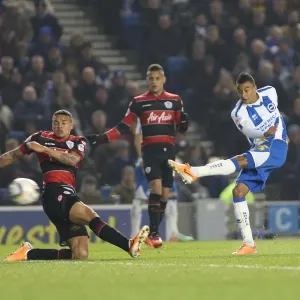 Brighton & Hove Albion vs. QPR: Clash at the Amex Stadium (March 11, 2014)