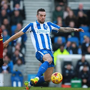 Brighton & Hove Albion vs. Queens Park Rangers: Shane Duffy's Determined Performance in the EFL Sky Bet Championship, December 2016