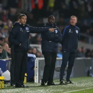 Brighton and Hove Albion vs. Queens Park Rangers: Championship Clash at Loftus Road (15DEC15) Brighton and Hove Albion vs. Queens Park Rangers: Championship Clash at Loftus Road (15DEC15)