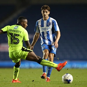 Brighton and Hove Albion vs. Reading: EFL Cup Showdown at American Express Community Stadium (2016)