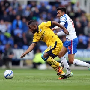 Brighton & Hove Albion vs. Reading: 2013-14 Season Away Game Brighton & Hove Albion vs. Reading: 2013-14 Season Away Game