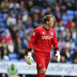 Brighton & Hove Albion vs. Reading: 2013-14 Season Away Game Brighton & Hove Albion vs. Reading: 2013-14 Season Away Game
