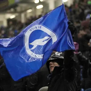 Brighton & Hove Albion vs. Reading: A 2014-15 Home Game (December 26) Brighton & Hove Albion vs. Reading: A 2014-15 Home Game (December 26)