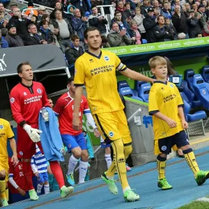 Brighton & Hove Albion vs. Reading (Away) - 15-09-2013: 2013-14 Season Brighton & Hove Albion vs. Reading (Away) - 15-09-2013: 2013-14 Season
