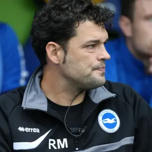 Brighton & Hove Albion vs. Reading (Away) - 15-09-2013: 2013-14 Season Brighton & Hove Albion vs. Reading (Away) - 15-09-2013: 2013-14 Season