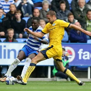 Brighton & Hove Albion vs. Reading (Away) - 15-09-2013: Away Game Highlights, 2013-14 Season Brighton & Hove Albion vs. Reading (Away) - 15-09-2013: Away Game Highlights, 2013-14 Season