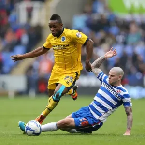 Brighton & Hove Albion vs. Reading (Away) - 2013-14 Season: Away Game Highlights Brighton & Hove Albion vs. Reading (Away) - 2013-14 Season: Away Game Highlights