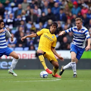 Brighton & Hove Albion vs. Reading (Away) - 2013-14 Season: Away Game Highlights Brighton & Hove Albion vs. Reading (Away) - 2013-14 Season: Away Game Highlights