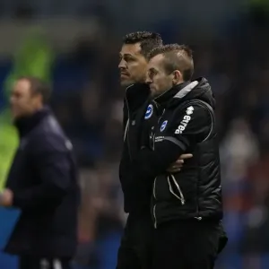 Brighton & Hove Albion vs. Reading (F.A. Cup) - Home Game: 4th January 2014 (Season 2013-14) Brighton & Hove Albion vs. Reading (F.A. Cup) - Home Game: 4th January 2014 (Season 2013-14)