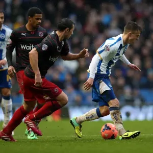 Brighton & Hove Albion vs. Reading (F.A. Cup) - Home Game, 2013-14 Season: A Fight at the Amex Stadium Brighton & Hove Albion vs. Reading (F.A. Cup) - Home Game, 2013-14 Season: A Fight at the Amex Stadium