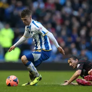 Brighton & Hove Albion vs. Reading (F.A. Cup), January 4, 2014: Home Game in the 2013-14 Season Brighton & Hove Albion vs. Reading (F.A. Cup), January 4, 2014: Home Game in the 2013-14 Season