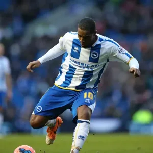 Brighton & Hove Albion vs. Reading (FA Cup), Home Game - 04-01-2014 (Season 2013-14) Brighton & Hove Albion vs. Reading (FA Cup), Home Game - 04-01-2014 (Season 2013-14)