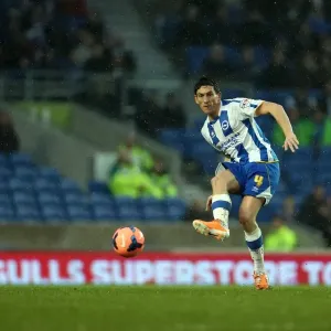 Brighton & Hove Albion vs. Reading (FA Cup) - Home Game: 04-01-2014 (Season 2013-14) Brighton & Hove Albion vs. Reading (FA Cup) - Home Game: 04-01-2014 (Season 2013-14)