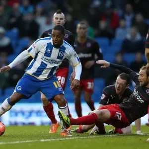 Brighton & Hove Albion vs. Reading (FA Cup) - Home Game: 04-01-2014 (Season 2013-14) Brighton & Hove Albion vs. Reading (FA Cup) - Home Game: 04-01-2014 (Season 2013-14)