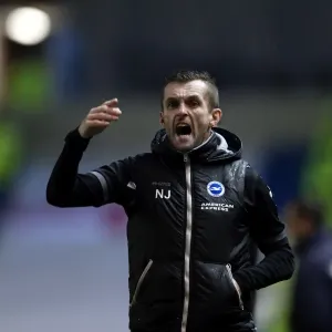 Brighton & Hove Albion vs. Reading: A Fight at the Amex - FA Cup Home Game, 2013-14 Season (04-01-2014) Brighton & Hove Albion vs. Reading: A Fight at the Amex - FA Cup Home Game, 2013-14 Season (04-01-2014)