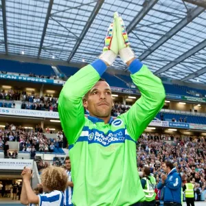 Brighton & Hove Albion vs. Reading: A Look Back at the 2012-13 Pre-Season Clash Brighton & Hove Albion vs. Reading: A Look Back at the 2012-13 Pre-Season Clash