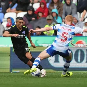Brighton and Hove Albion vs. Reading: Sky Bet Championship Showdown at Madejski Stadium (2016.08.20) Brighton and Hove Albion vs. Reading: Sky Bet Championship Showdown at Madejski Stadium (2016.08.20)