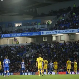 Brighton and Hove Albion vs Rotherham United: Sky Bet Championship Clash at American Express Community Stadium (September 15, 2015)