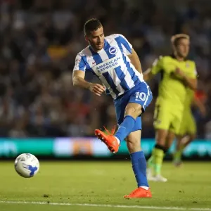 Brighton and Hove Albion vs Rotherham United: EFL Sky Bet Championship Showdown at American Express Community Stadium (August 16, 2016) Brighton and Hove Albion vs Rotherham United: EFL Sky Bet Championship Showdown at American Express Community Stadium (August 16, 2016)